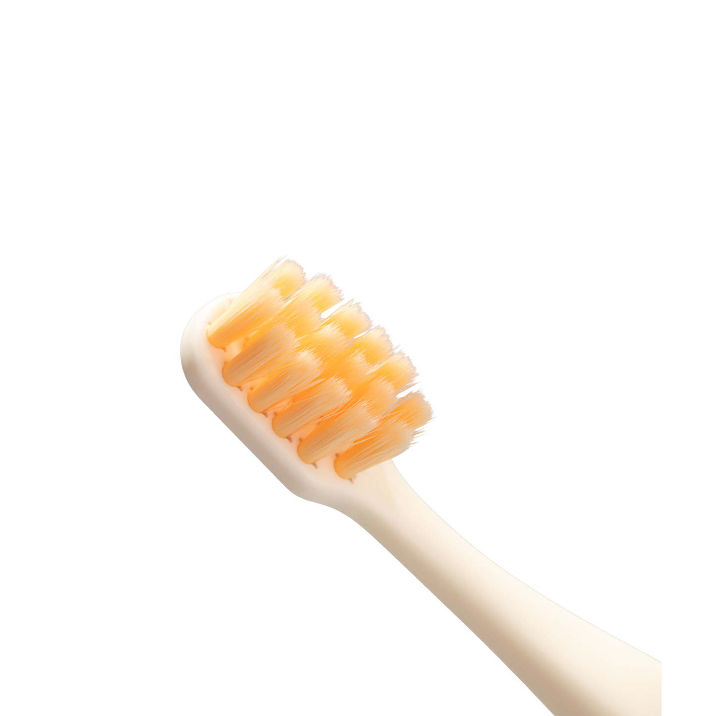 Brosse à Dents Poils Doux Lupy
