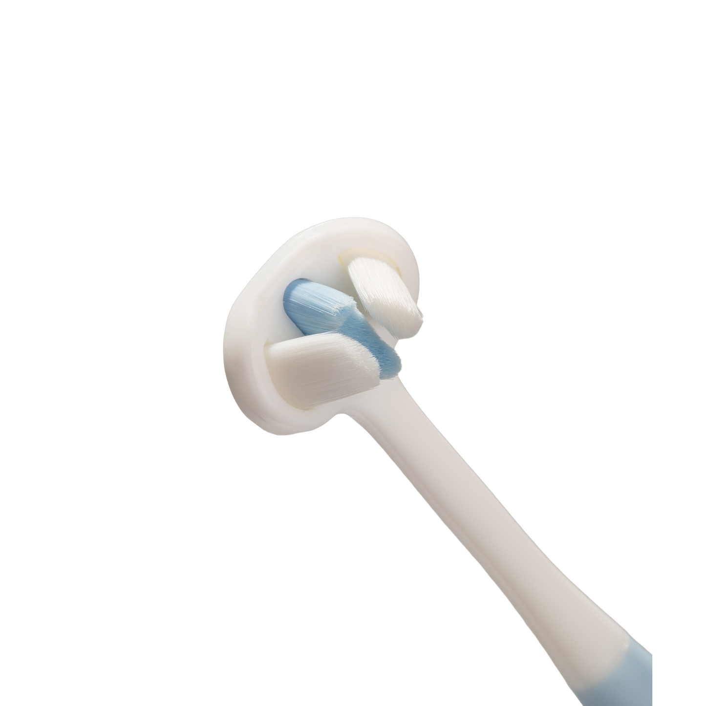Tandenborstel Toothhugger Coco