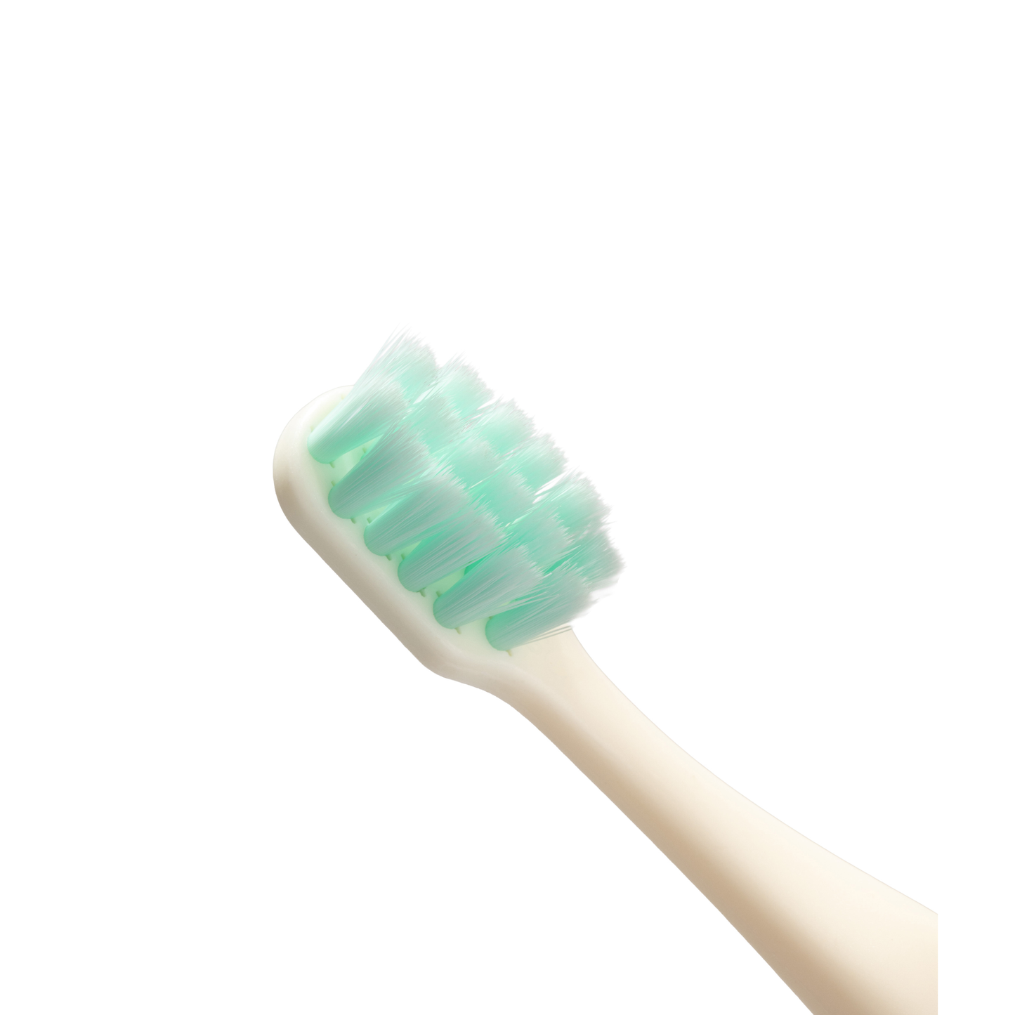 Brosse à Dents Bio Poils Griny