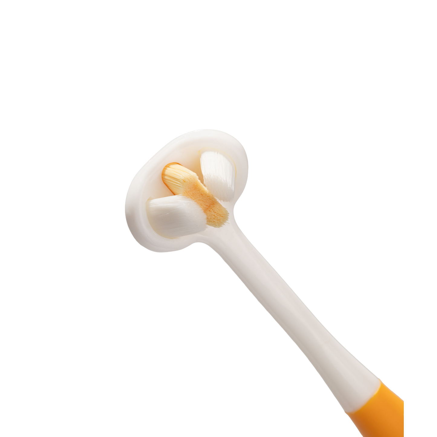Brosse à dents Toothhugger Lupy 