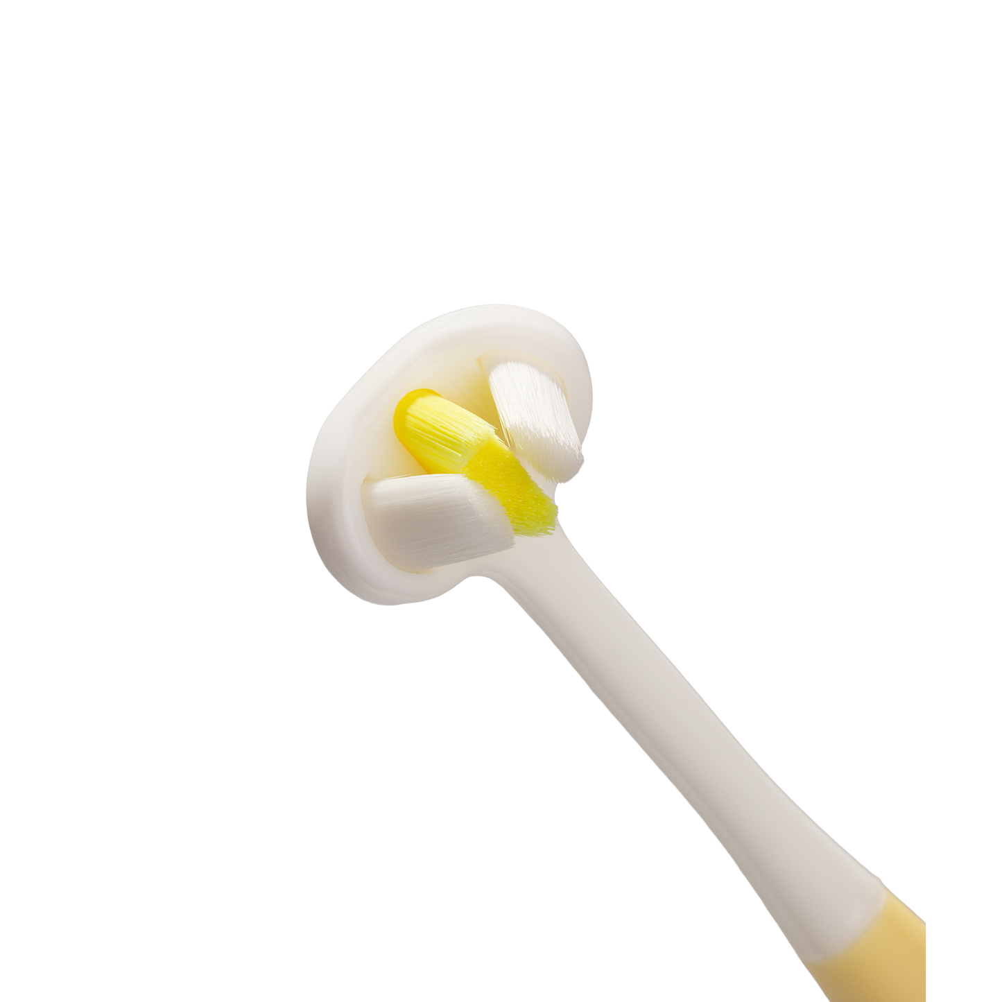 Brosse à dents Toothhugger Flappy 